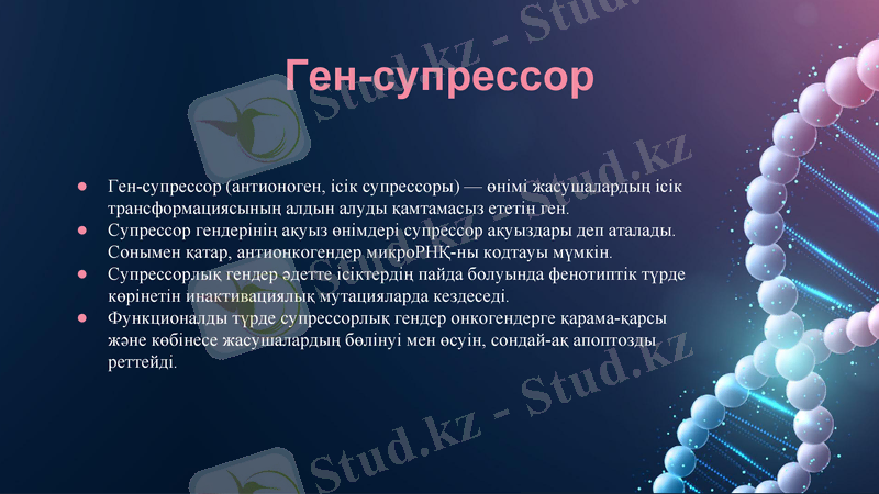 Slide 7
