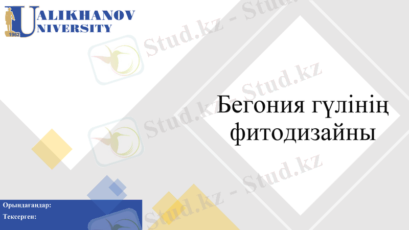 Slide 1