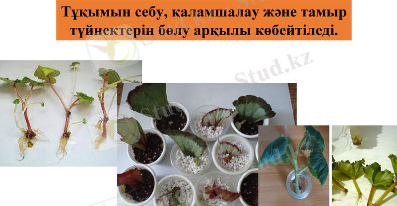 Slide 10