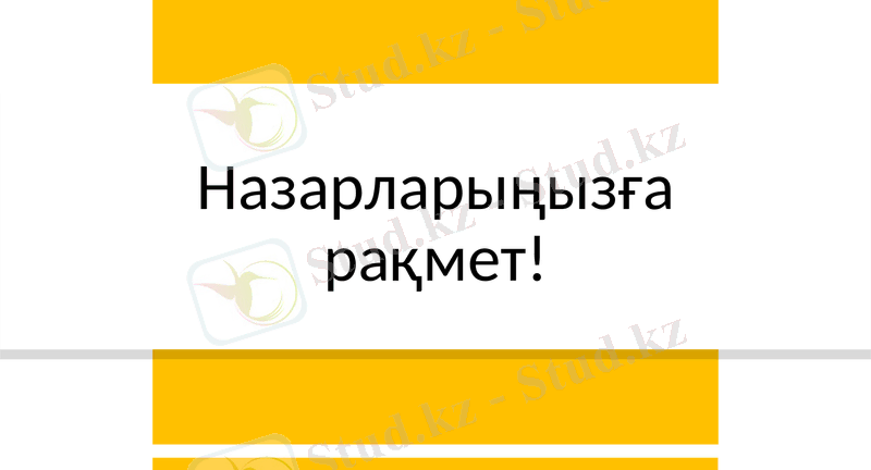 Slide 11