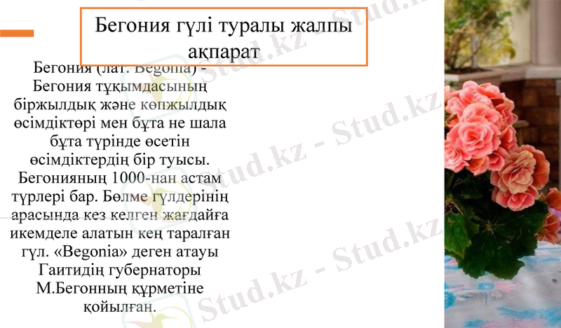 Slide 3