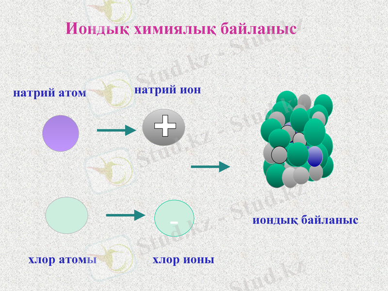 Slide 13