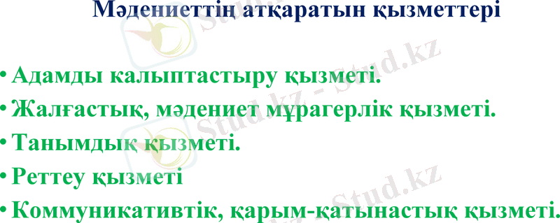 Slide 7
