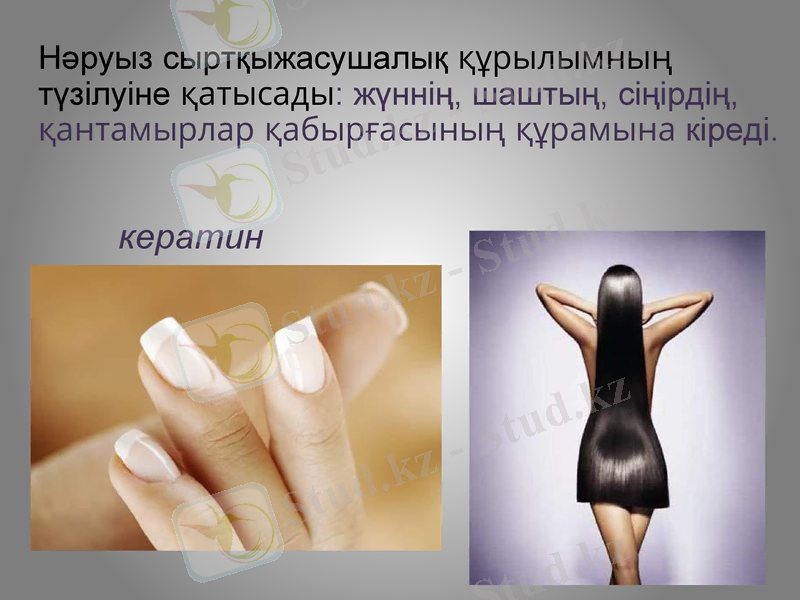 Slide 10