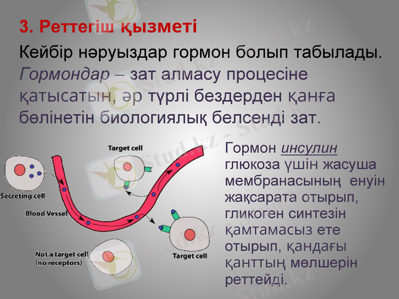 Slide 14