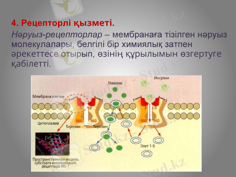 Slide 15