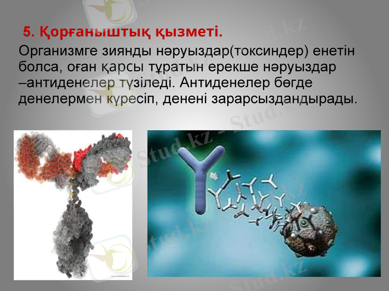 Slide 16