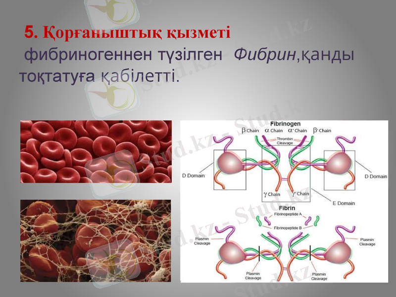 Slide 17