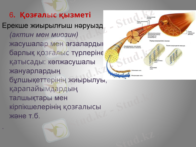 Slide 18