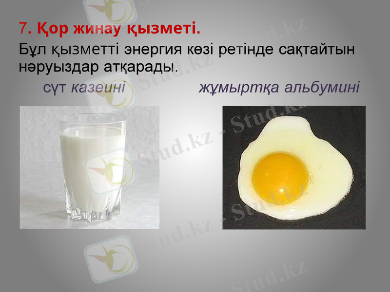 Slide 19