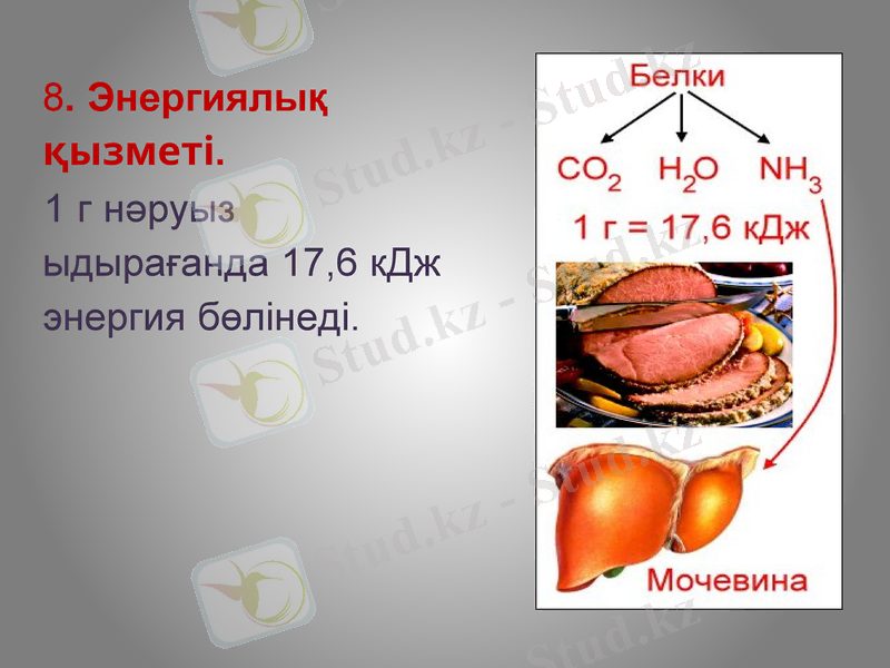 Slide 20