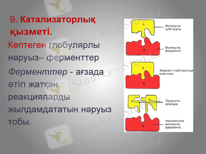 Slide 21
