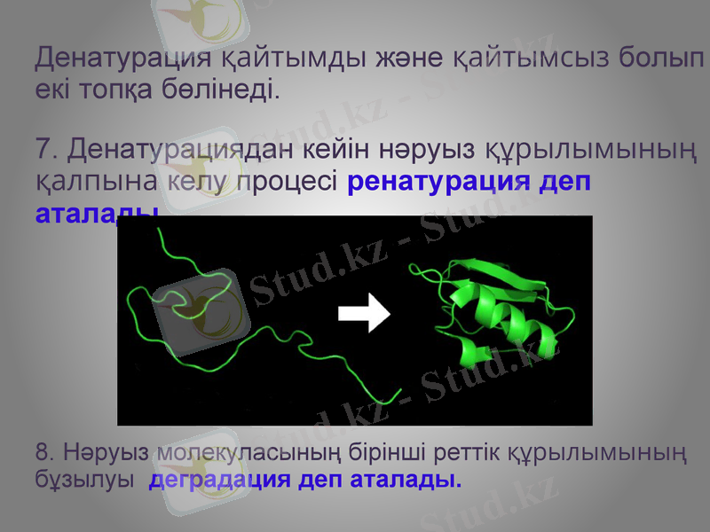 Slide 7