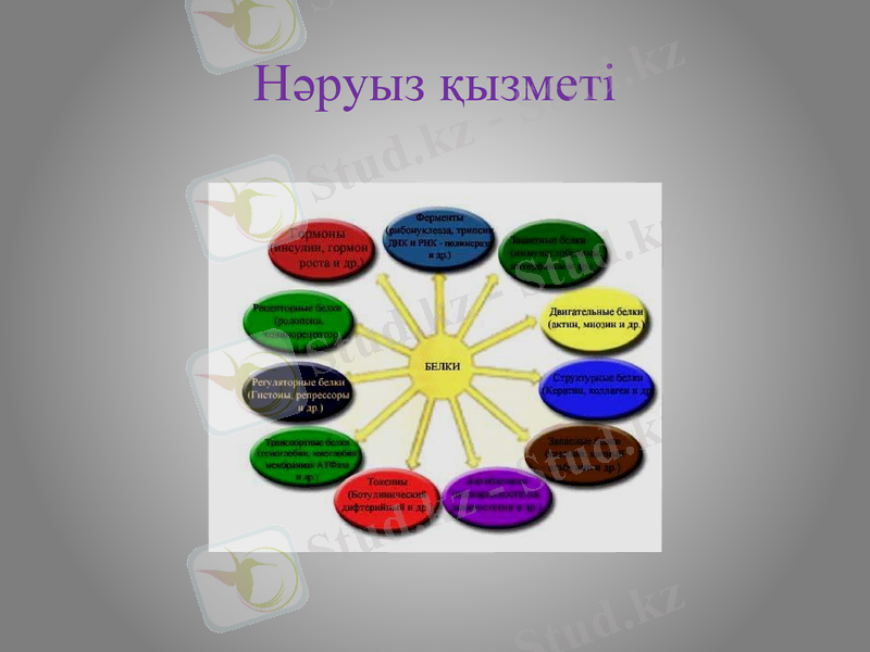 Slide 8
