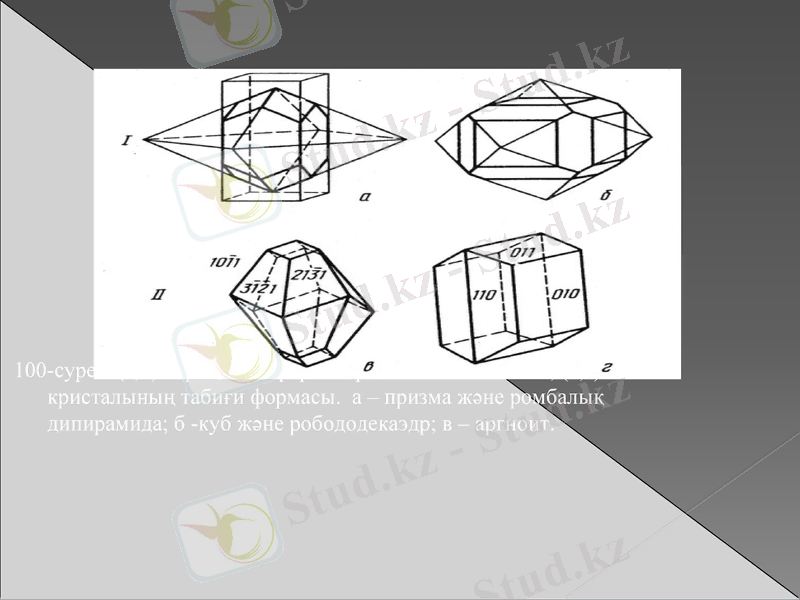 Slide 10