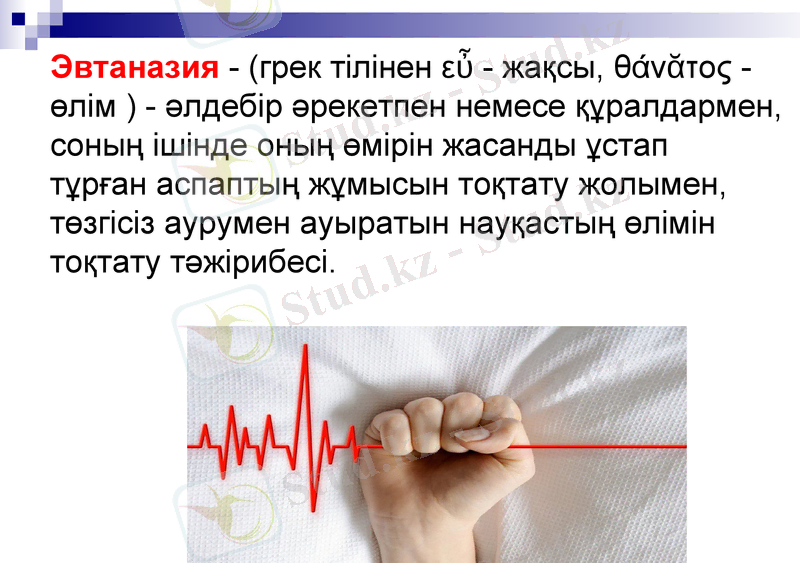 Slide 12