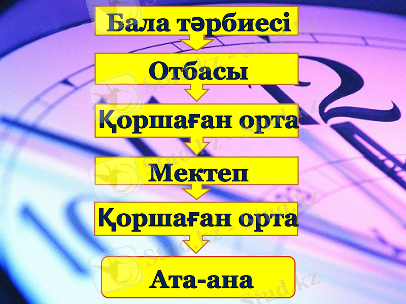 Slide 13
