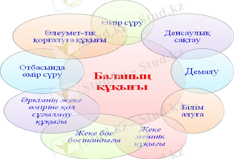 Slide 7