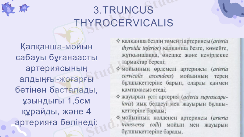 Slide 10