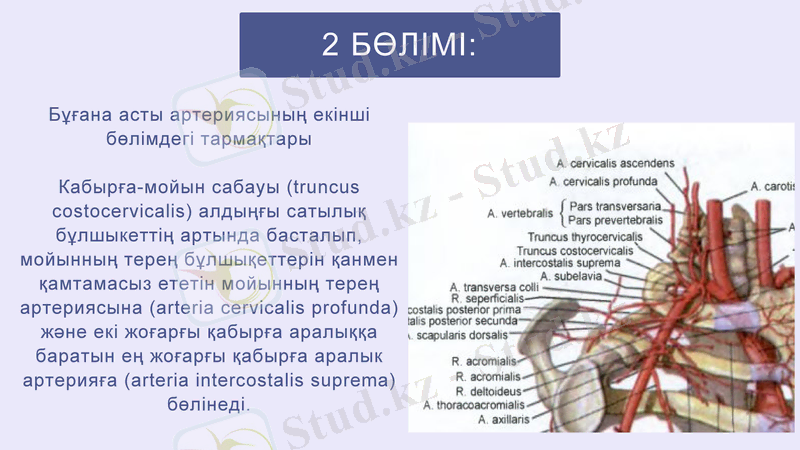 Slide 11