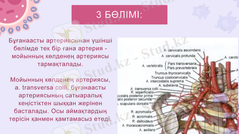 Slide 12