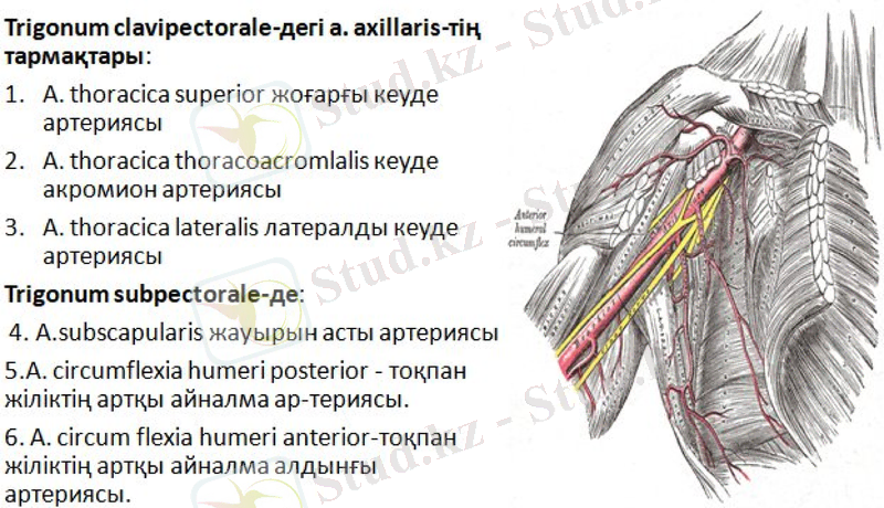 Slide 14
