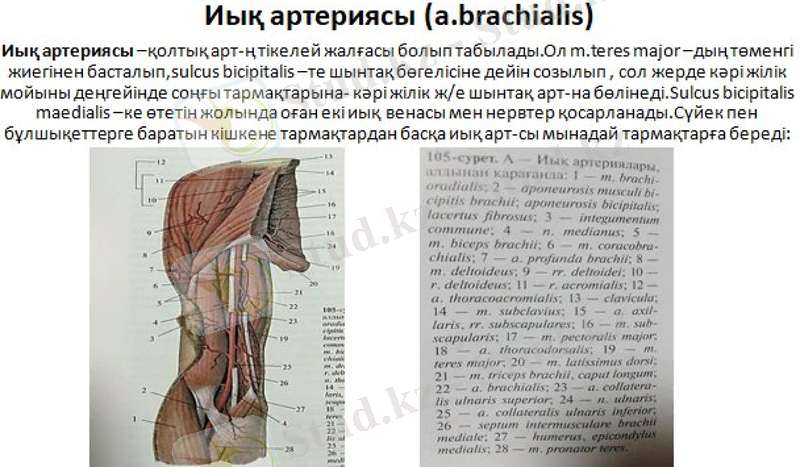 Slide 16