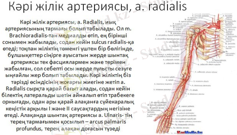 Slide 19