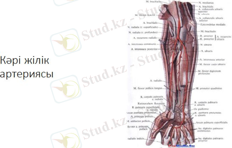 Slide 21