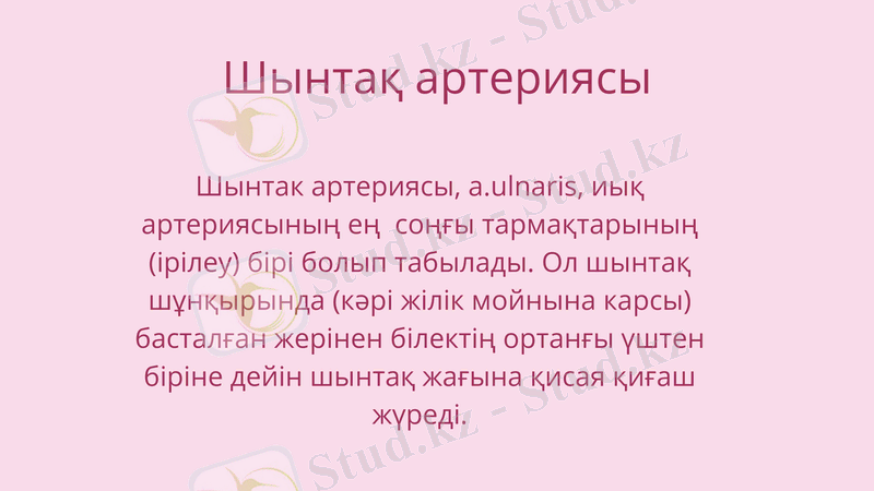 Slide 22
