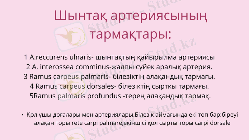 Slide 23