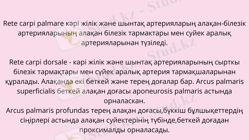 Slide 24