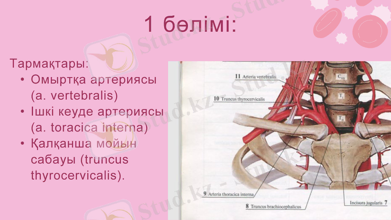 Slide 6