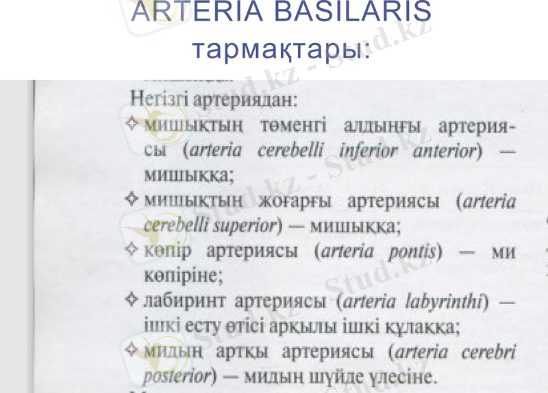 Slide 8