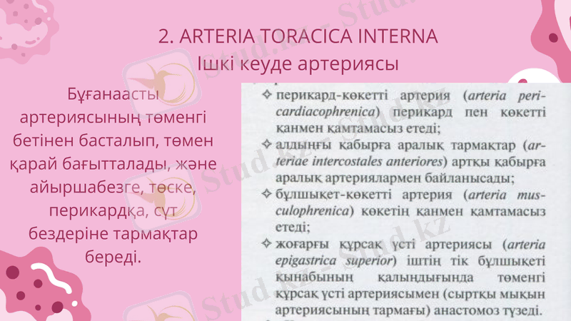 Slide 9