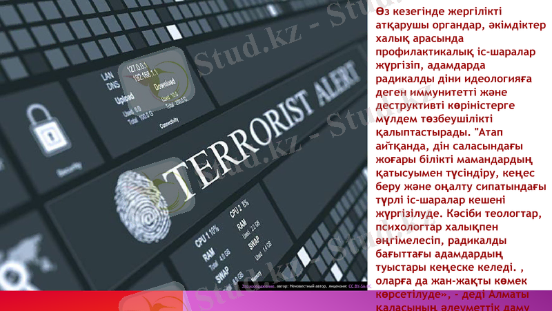 Slide 7