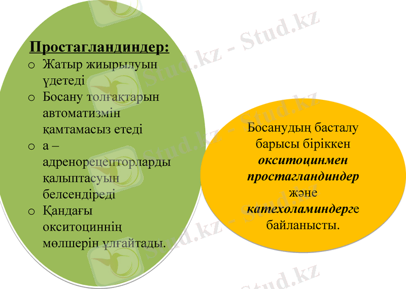 Slide 10