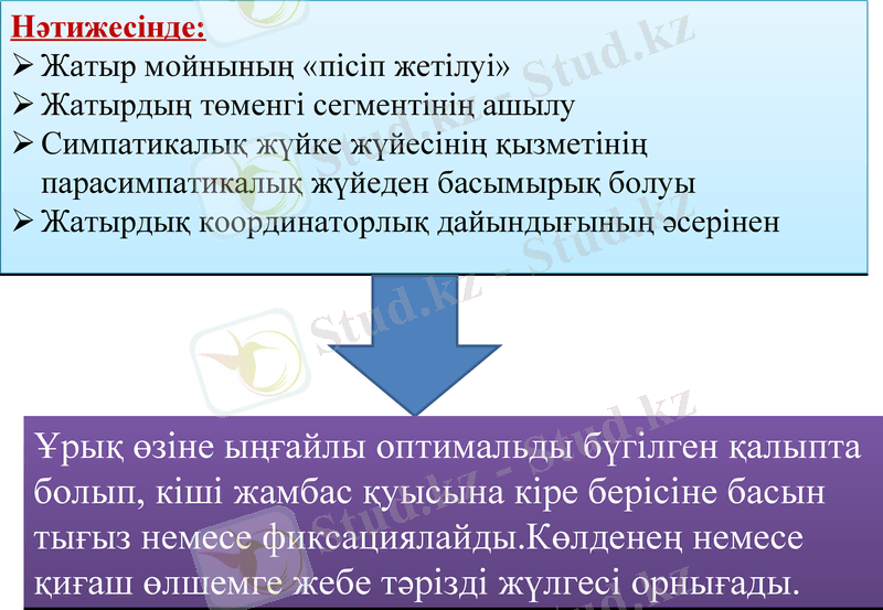Slide 13