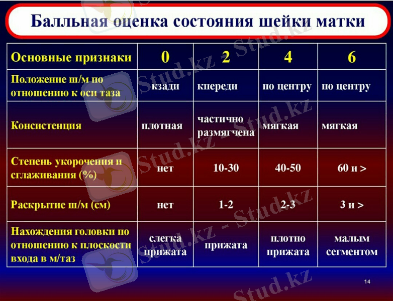 Slide 14
