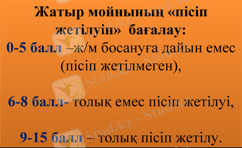 Slide 15