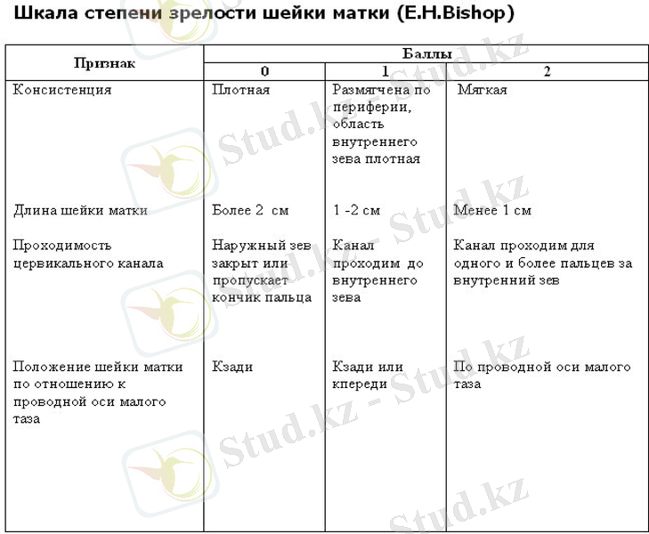 Slide 17