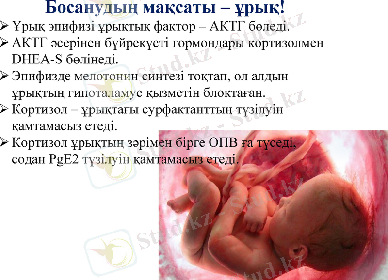 Slide 18
