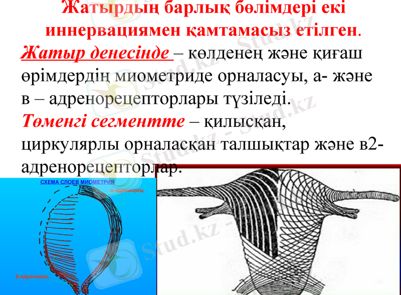 Slide 19