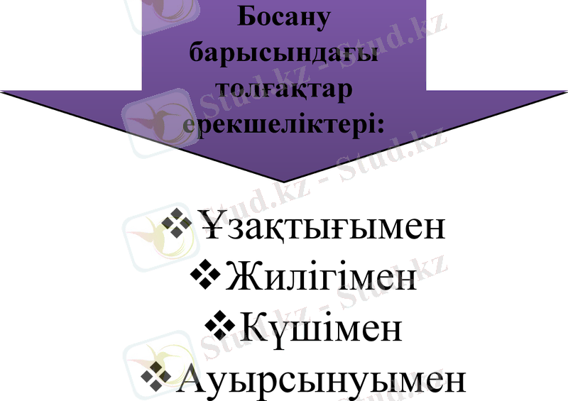 Slide 21