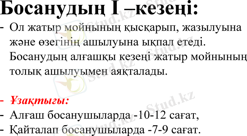 Slide 24