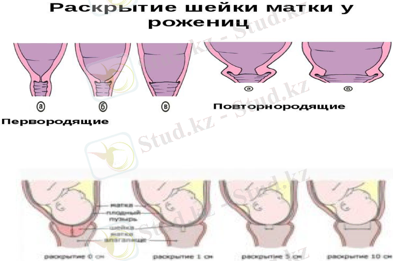 Slide 26