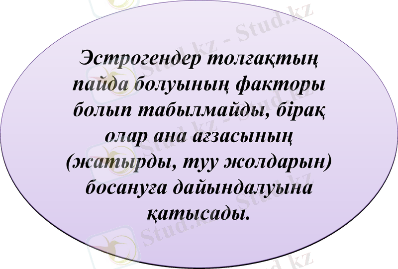 Slide 7