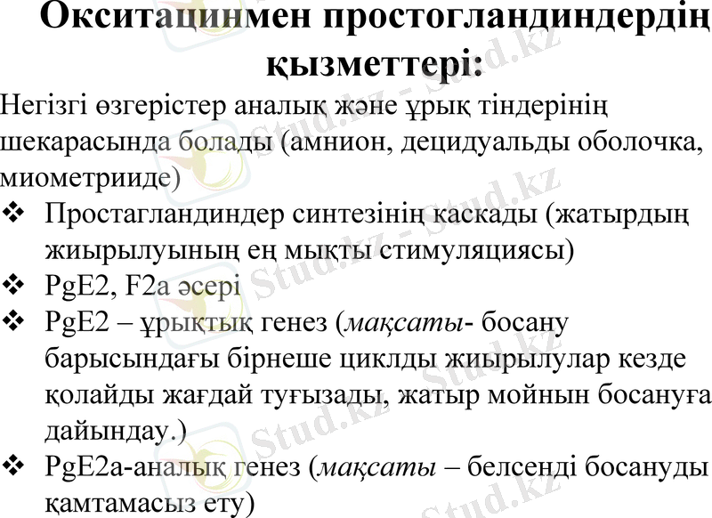 Slide 9