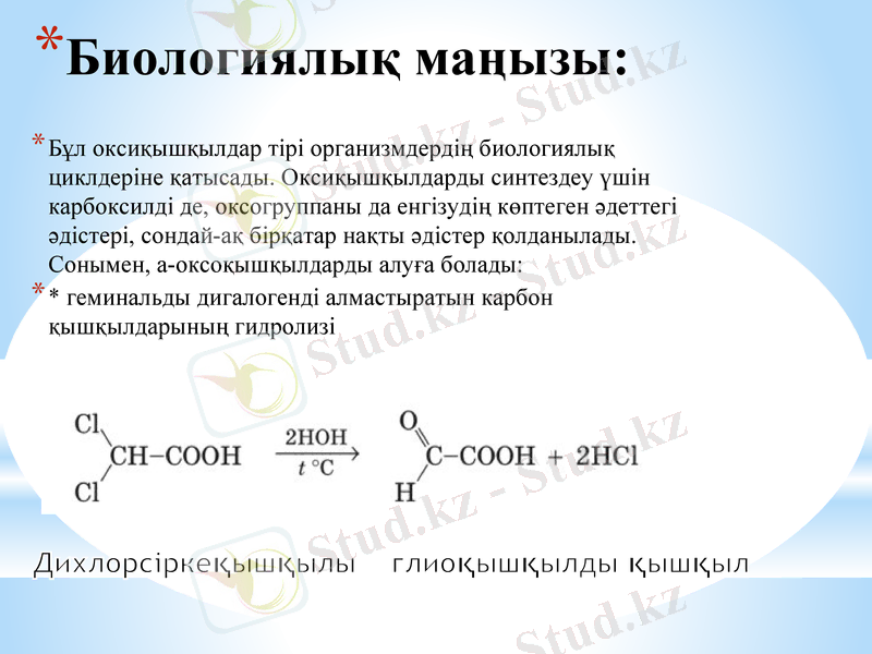 Slide 10
