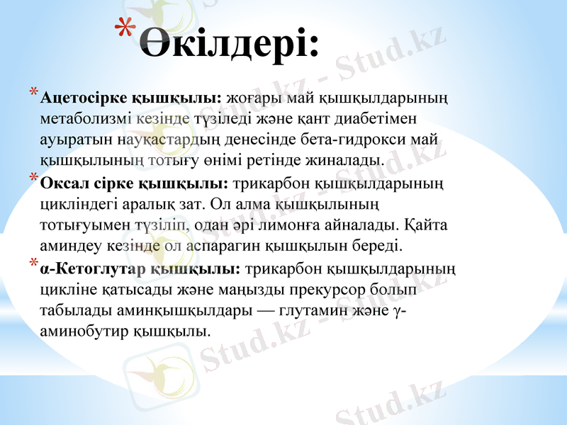 Slide 11